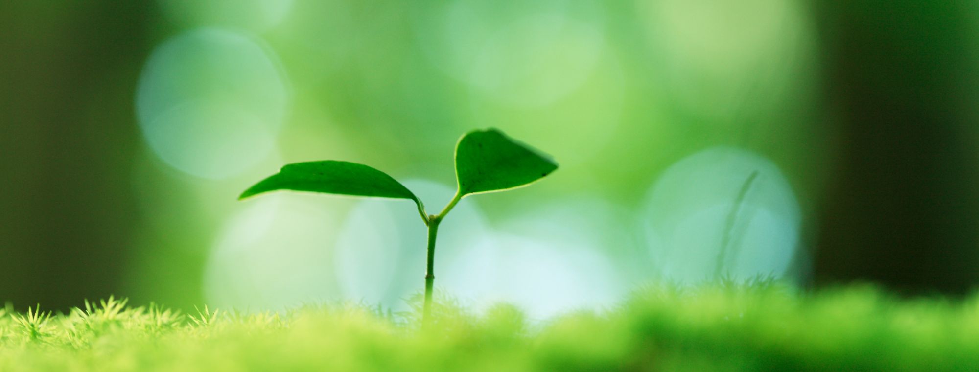 キービジュアルイメージ